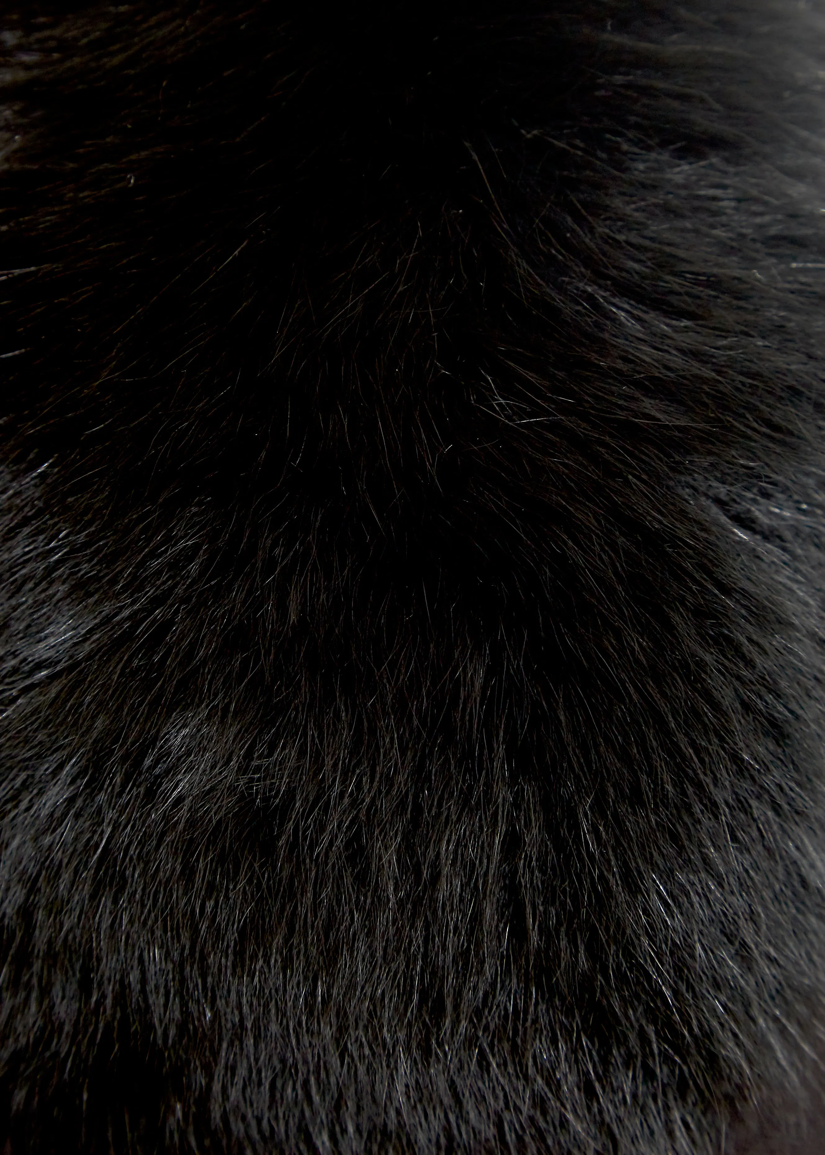 Black Genuine Fox Fur Collar