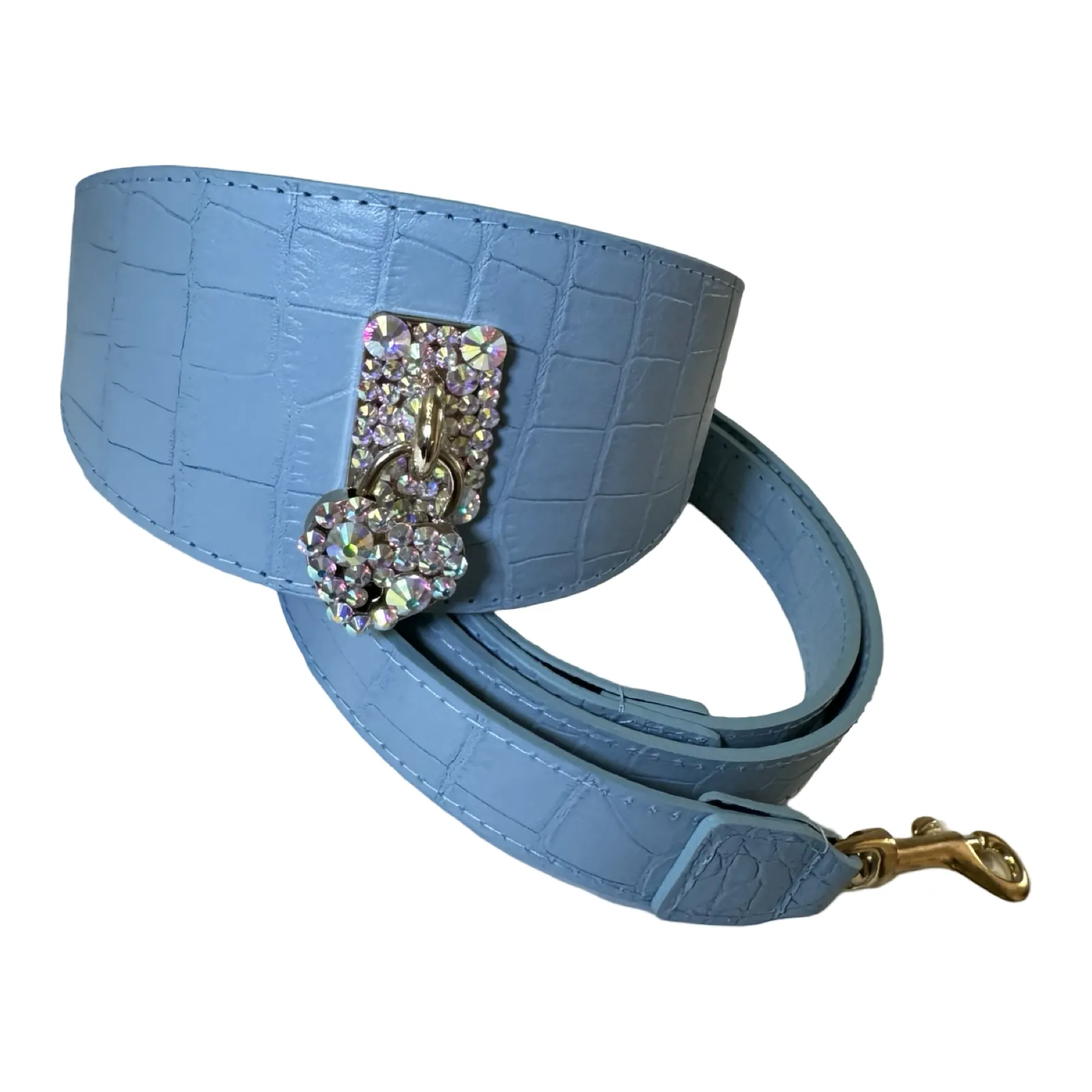 Del Mar Collar & Leash Set