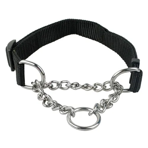 Martingale Training Collar w/ Chain