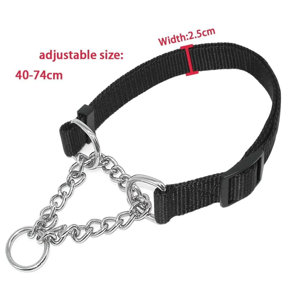 Martingale Training Collar w/ Chain