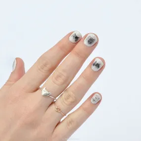 Nail transfer: Cats