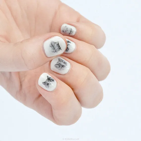 Nail transfer: Cats