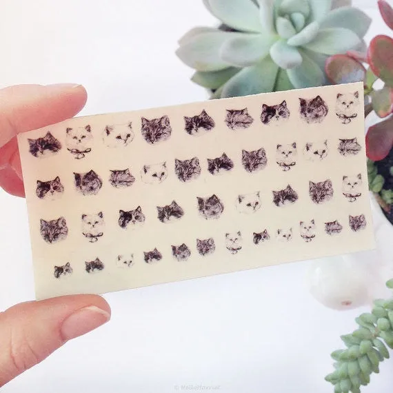 Nail transfer: Cats