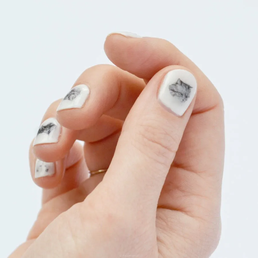 Nail transfer: Cats